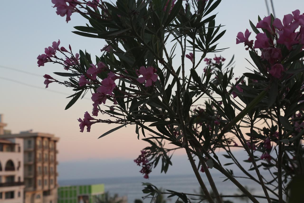 Kasgar Court Hotel Ayvaryara Εξωτερικό φωτογραφία